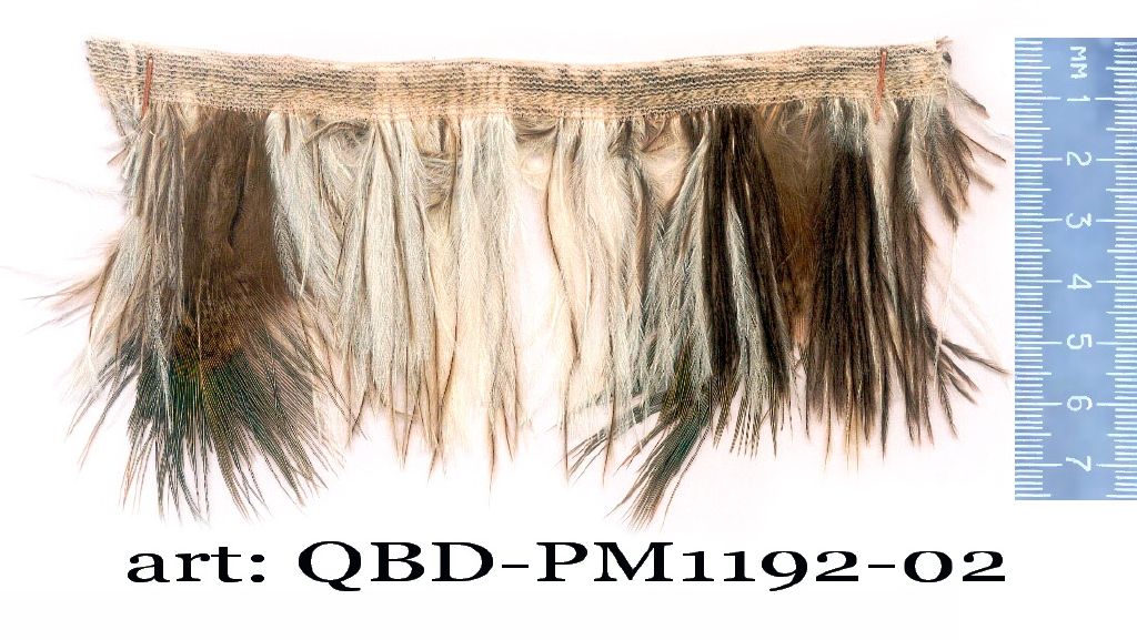 QBD-PM1192-02