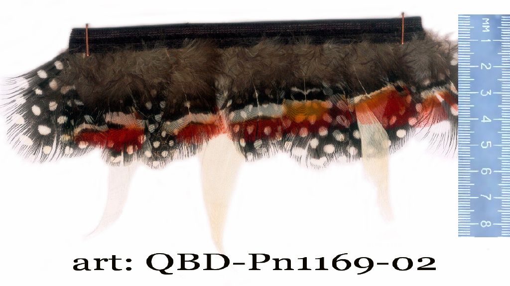 QBD-PM1169-02