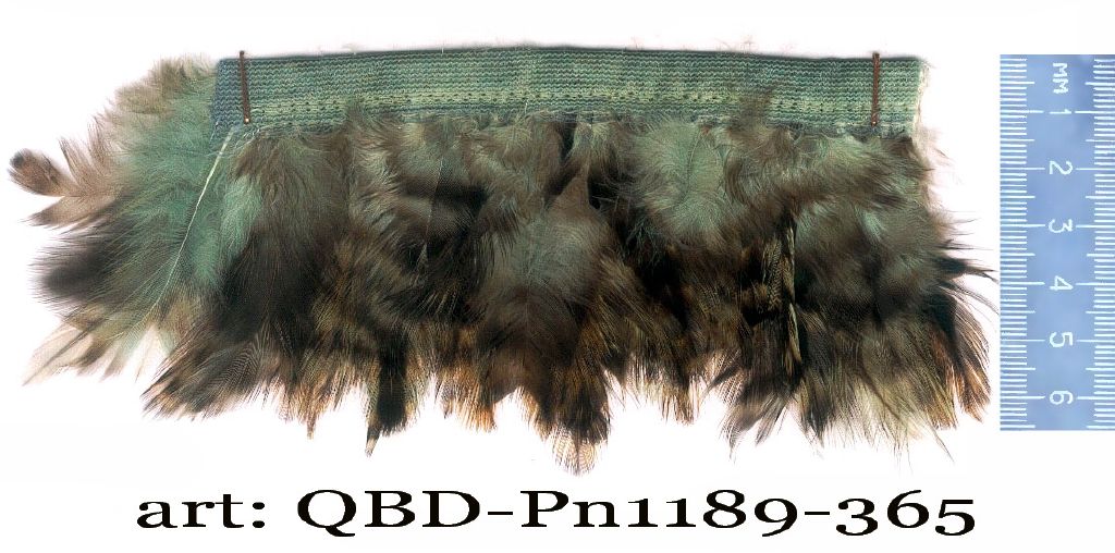 QBD-PM1189-365