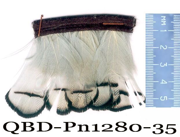 QBD-PM1280-35